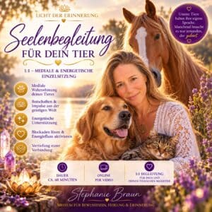 Licht der Erinnerung - Tierbegleitung 1:1