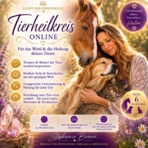 Licht der Erinnerung - Tierheilkreis